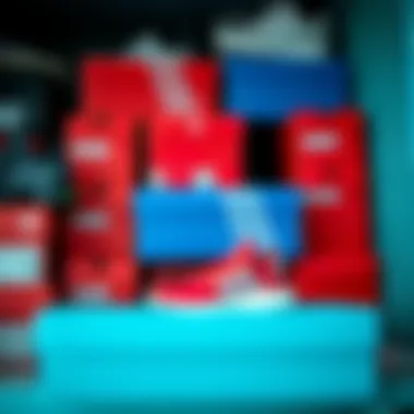 Organized storage of Adidas shoeboxes