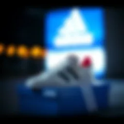 Adidas shoebox showcasing iconic design