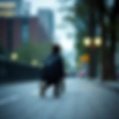 Functional small backpack suitable for daily use