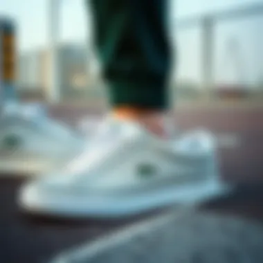 Diverse Lacoste sneaker collection