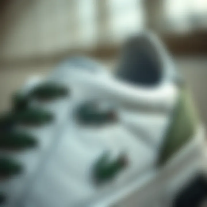 Lacoste logo prominently displayed on sneaker