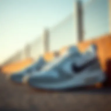 Comparative Analysis of Nike 001 Krampon Comparison of Nike 001 Krampon with other models on the market