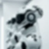 Elegant display of Nike white bot models