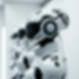 Elegant display of Nike white bot models