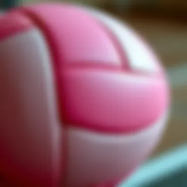 Details of the Pink Volleyball Close-up of a pink volleyball highlighting texture and details.