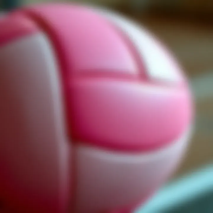 Details of the Pink Volleyball Close-up of a pink volleyball highlighting texture and details.