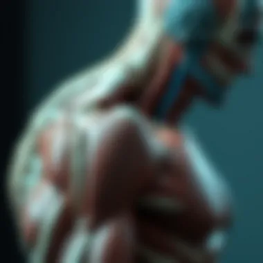 Anatomy of shoulder muscles involved in dumbbell deltoid press