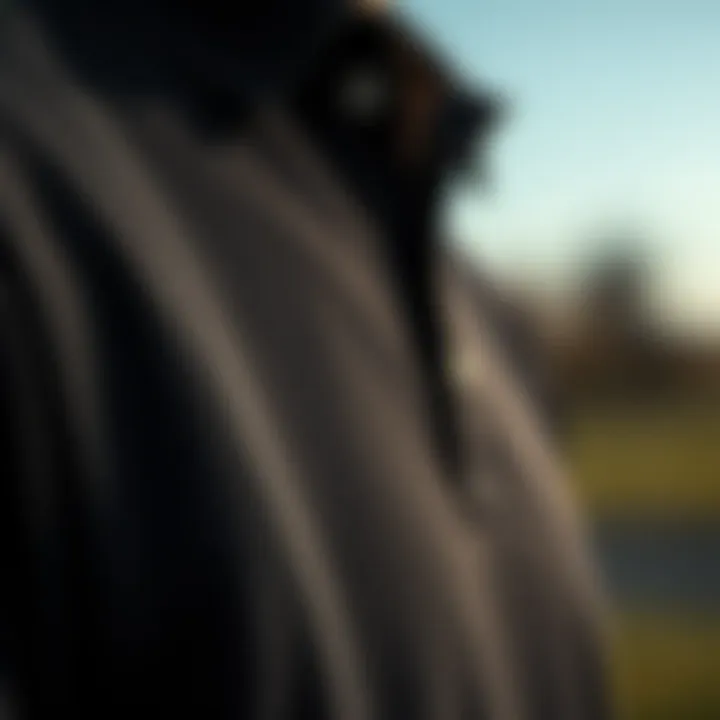 Close-up of fabric texture of a high-quality black polo shirt