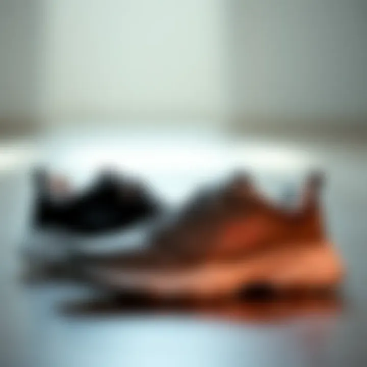 Diverse Styles of Skechers Shoes Diverse styles of Skechers shoes showcased