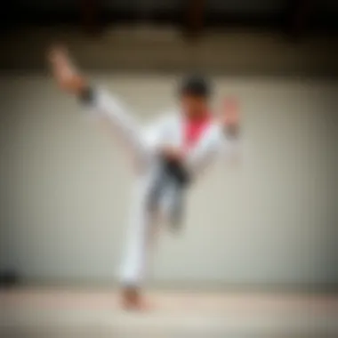 A Taekwondo practitioner demonstrating a high kick technique