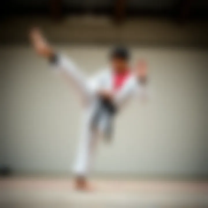 A Taekwondo practitioner demonstrating a high kick technique