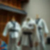 The Essence of Taekwondo: Traditional Attire Traditional Taekwondo uniforms displayed in a dynamic setting