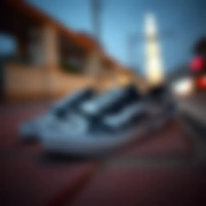 Versatility of Vans Skull Shoes for Various Occasions Vans skull shoes suitable for various occasions